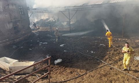 Burdur'da Yangın: 2 İnek ve 2 Buzağı Telef Oldu