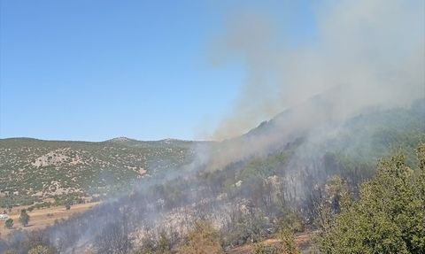 Burdur'daki Orman Yangını Kontrol Altına Alındı