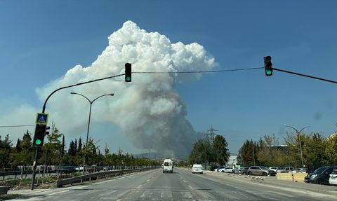Bursa'da Orman Yangınına Müdahale Başlatıldı