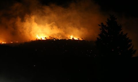 Bursa Karacabey'deki Orman Yangını Kısmen Kontrol Altında