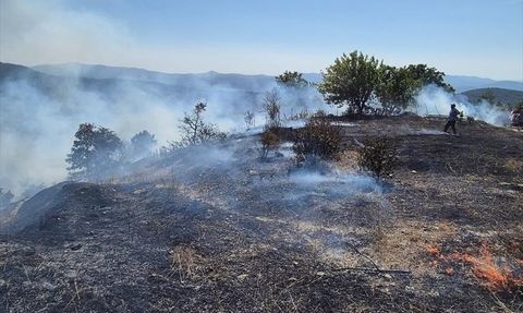 Bursa Orhaneli'nde Orman Yangını