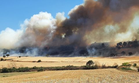 Çanakkale'de Zeytinlikten Ormana Sıçrayan Yangına Müdahale Ediliyor
