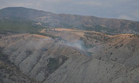 Çorum'da Yangın: 10 Dekar Ağaçlık Alan Alevlere Teslim Oldu