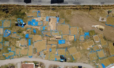 Demirci Kuru Fasulyesine Artan Talep