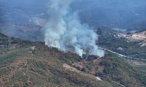 Düzce'de Orman Yangınına Müdahale Devam Ediyor