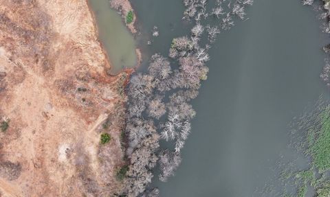 Edirne'deki Göletlerde Su Seviyesi Krizi