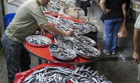 Ege'de Balıkçılar Sezonu Bereketle Karşıladı