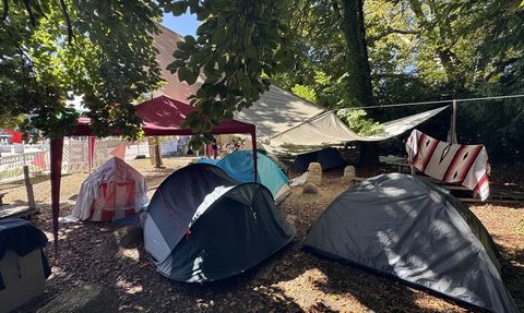 Filistin Destekçileri Cenevre'de Soykırıma Dikkat Çekiyor