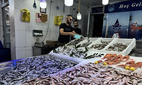 Hamsi Avında Erken Başlangıç Balıkçıları Sevindiriyor
