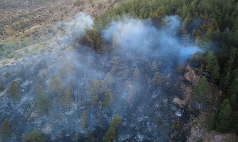 Karabük Ovacık'taki Orman Yangını Kontrol Altına Alındı