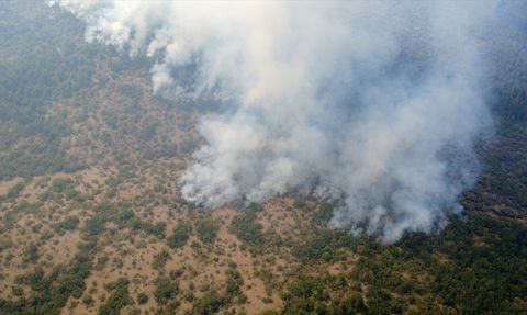 Karabük'teki Orman Yangınına Yoğun Müdahale Devam Ediyor