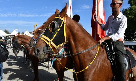 Kayı Boyu'nun Tarihi Göç Yürüyüşü