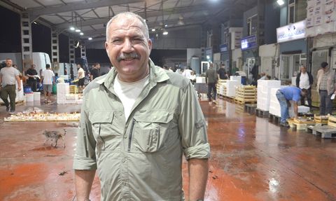 Kocaeli'de Balık Mezadı Sezonu Açıldı