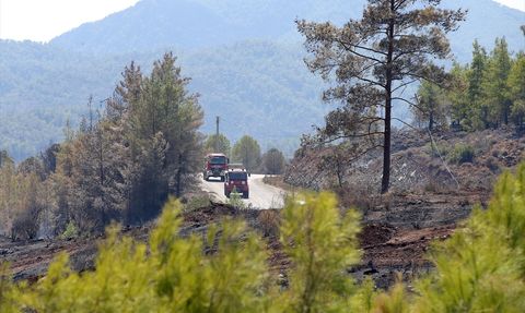Köyceğiz Orman Yangınına Mücadele Devam Ediyor