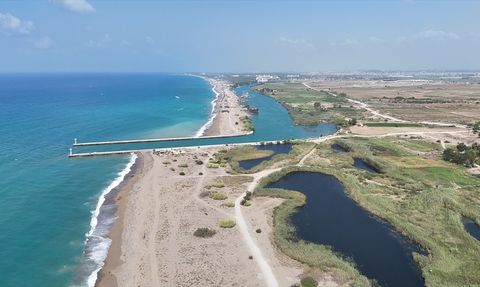 Manavgat'ta Mavi Tur Deneyimi: Doğanın Güzelliklerinde Yolculuk