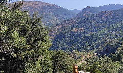 Manisa'da İş Makinesi Kazası: Bir Hayat Kaybedildi