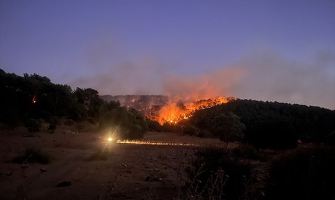 Milas'ta Orman Yangını: Ekipler Gece Boyu Mücadele Ediyor
