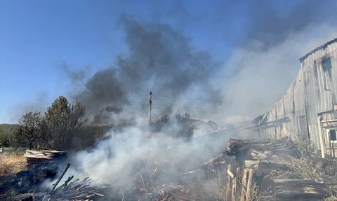 Muğla'da Yangın: Kereste Deposu Alev Alev Yandı