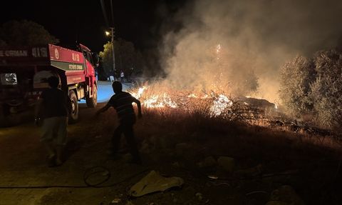 Muğla'da Zeytinlik ve Makilik Alanda Yangın Kontrol Altına Alındı