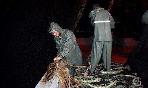 Ordu'da Balıkçılar Yeni Sezonu Açtı