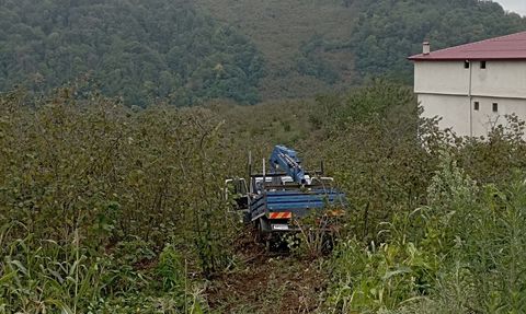 Samsun'da Fındık Bahçesine Yuvarlanan Kamyonette Üç Yaralı