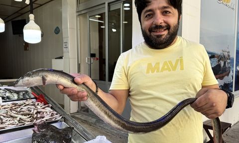 Sinop'ta Hamsi Avında Nadir Buluntu: Yılan Balığı