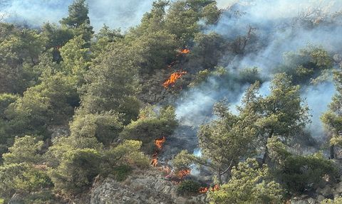 Söke'de Orman Yangınına Hızla Müdahale