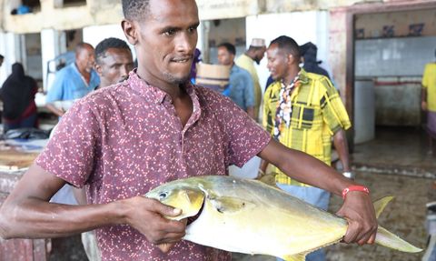 Somalililer Hint Okyanusu'nda Balık Tutma Kültürü