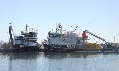 Tekirdağlı Balıkçılar Poyrazın Etkisini Geride Bıraktı