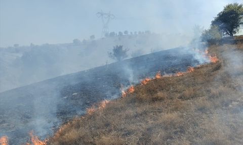 Tokat'ta Makilik Alanda Yangın Kontrol Altına Alındı
