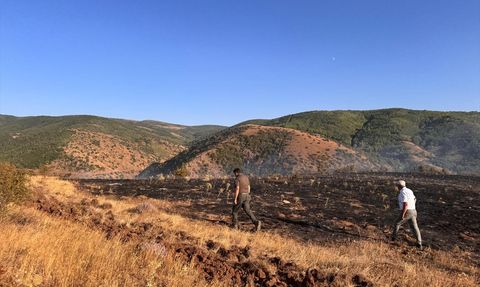 Tokat'ta Orman Yangını: 2 Hektar Zarar Gördü