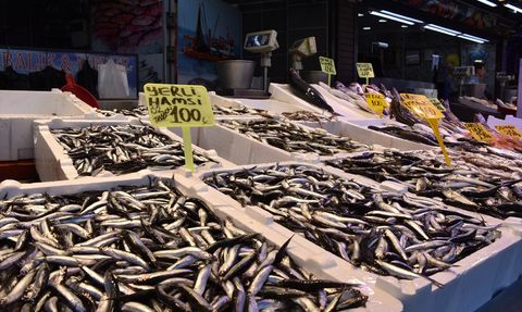 Trabzon'da Hamsi Fiyatları 100 Lira