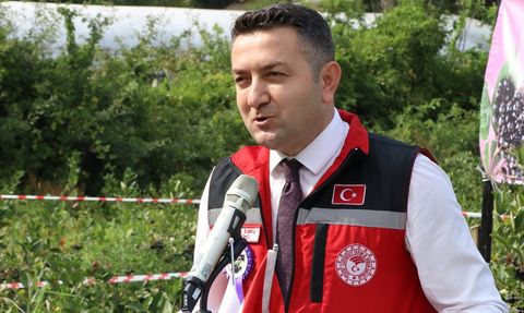 Yalova'da Coğrafi İşaretli Aronya Hasat Dönemi Başladı