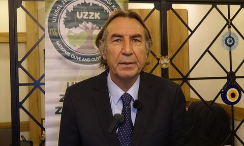 2025-2026 Zeytin Rekoltesi Tahminleri: Türkiye'de 2.45 Milyon Ton Bekleniyor