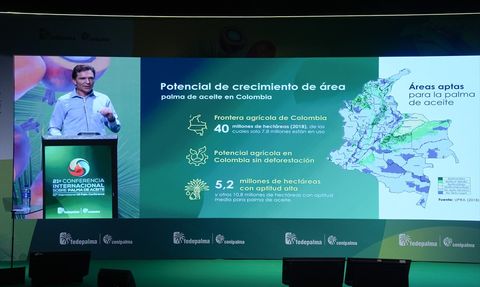 2025 Uluslararası Palmiye Yağı Konferansı Cartagena'da Gerçekleşti