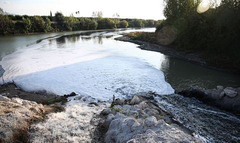 Adana'da Ceyhan Nehri'nde Balık Ölümleri İnceleniyor