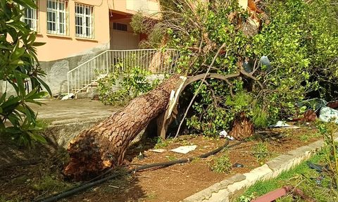 Adana'da Fırtına Okul Çatısını Uçurdu
