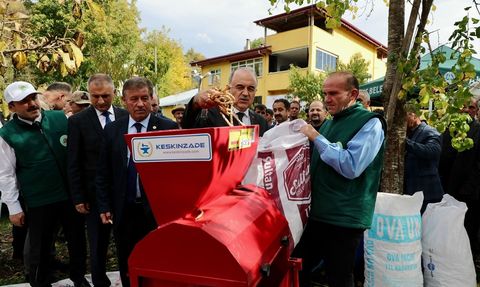 Akkuş Şeker Fasulyesi Hasadı Başladı