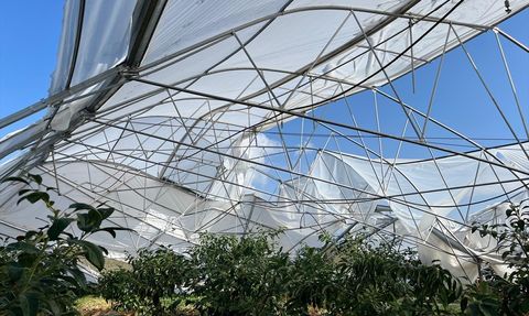 Antalya'da Fırtına Sonrası Sera Hasar Tespiti Başlatıldı