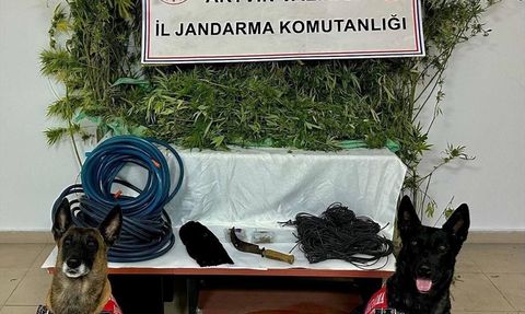 Artvin'de Uyuşturucu Ticareti Operasyonu: 1 Zanlı Tutuklandı