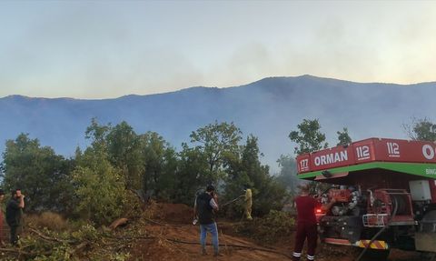Bingöl'de Orman Yangını Kontrol Altına Alındı