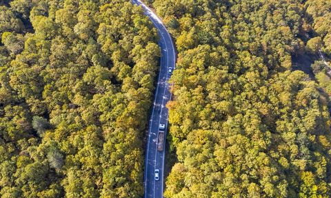 Bolu'da Sonbahar Güzellikleri