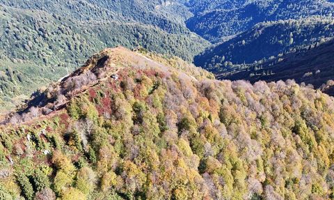 Borçka Karagöl Tabiat Parkı Sonbahar Renkleriyle Büyülüyor