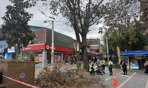 Bursa'da Kuvvetli Lodos Hayatı Olumsuz Etkiledi