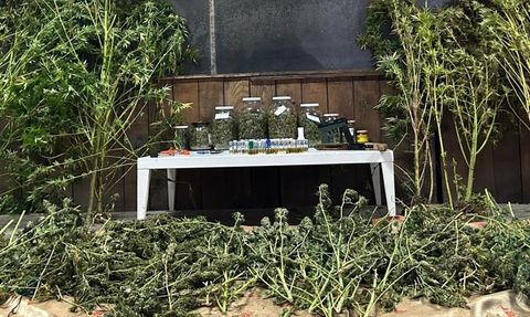 Bursa'da Uyuşturucu Operasyonu: 1 Gözaltı