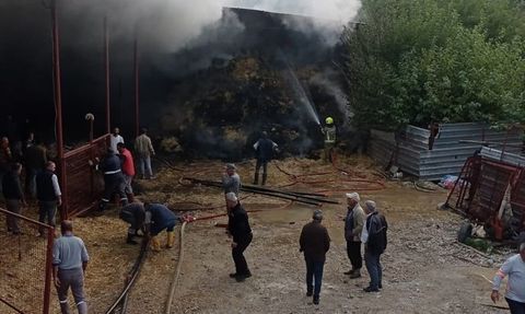 Bursa'da Yangında 170 Küçükbaş Hayvan Telef Oldu