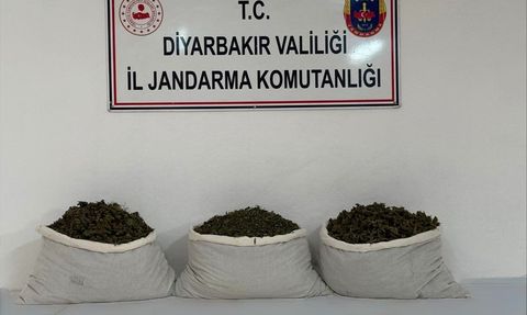 Diyarbakır'da Uyuşturucu Operasyonu: 15 Kilogram Skunk Ele Geçirildi