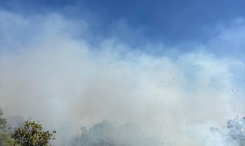 Diyarbakır'daki Kırsal Yangına Müdahale Devam Ediyor