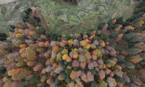 Düzce, Sakarya ve Bolu'daki Sonbahar Güzelliği