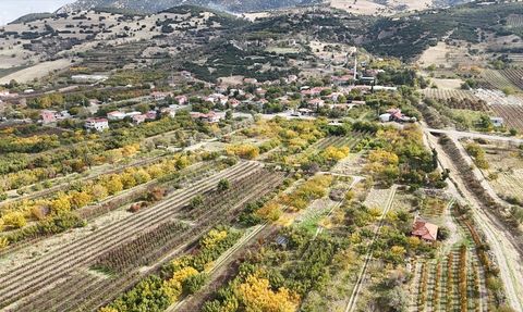 Eğirdir Gölü Sonbaharda Havadan Görüntülendi